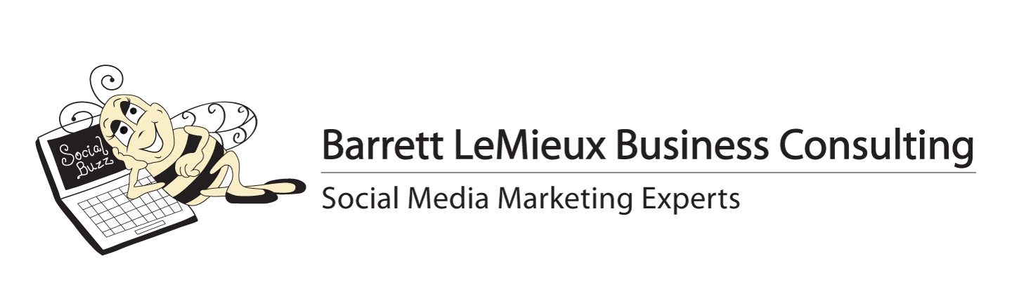 Barrett LeMieux Business Consulting